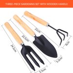 Garden Tool Set Supplier - Mini Three-Piece with Wooden Handle