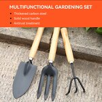 Garden Tool Set Supplier - Mini Three-Piece with Wooden Handle