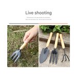 Garden Tool Set Supplier - Mini Three-Piece with Wooden Handle