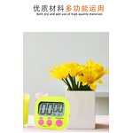 Digital Alarm Clock Factory - Wholesale Mini Electronic Kitchen