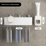 Toothbrush Rack Factory - Light Luxury Transparent Punch-Free