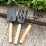 Garden Tool Set Supplier - Mini Three-Piece with Wooden Handle