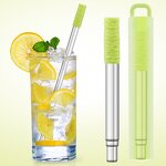 Telescopic Straw Supplier - Stainless Steel with Silicone Mouthpiece