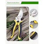 Pruning Shears Factory - Professional Sharp Bypass Beak Scissors
