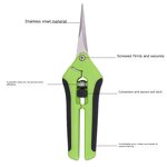 Pruning Shears Supplier - Industrial Stainless Steel Elbow Grape