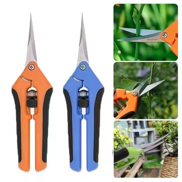Stainless Steel Shears Supplier - Straight Elbow for Plants Fruits