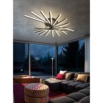 Black Ceiling Light Factory - 2024 Modern Simple Luxury Creative