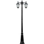 Antique Street Lamp Supplier - European Double-Headed LED 3m