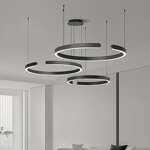 Art Chandelier Supplier - Modern Circle Rose Gold C-Shaped