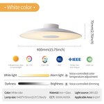 Mini Ceiling Lamp Supplier - 2024 Modern Stylish Mounted Glass