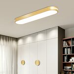 Elliptical Ceiling Light Factory - Modern LED Remote Control Iron