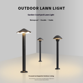 LED Lawn Light Supplier - IP65 Waterproof Plug-In Electric