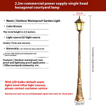Antique Street Lamp Supplier - European Double-Headed LED 3m