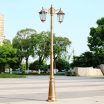Antique Street Lamp Supplier - European Double-Headed LED 3m