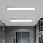 Elliptical Ceiling Light Factory - Modern LED Remote Control Iron