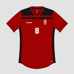 Retro Soccer Jersey Manufacturer - OEM Custom HOSTARON Latest Design