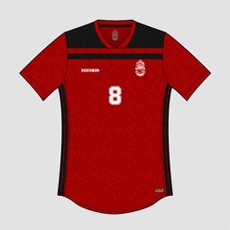 Retro Soccer Jersey Manufacturer - OEM Custom HOSTARON Latest Design