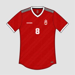 Camisetas De Futbol Manufacturer - OEM Custom HOSTARON Digital Printing