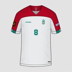 Soccer Jerseys Shirt Manufacturer - HOSTARON Wholesale Custom Club