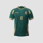 Custom Soccer Jersey Full Set Manufacturer - OEM Custom HOSTARON Training