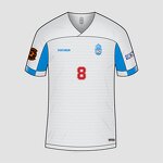 Retro Maillot Manufacturer - OEM Custom HOSTARON Blue Soccer Jersey Player