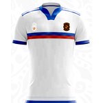 Soccer Uniforms Manufacturer - Oem Custom HOSTARON Yellow and Green