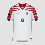 Retro Maillot Manufacturer - OEM Custom HOSTARON Blue Soccer Jersey Player