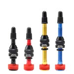 Bike Valve Stem Manufacturer - OEM Custom Presta Stem