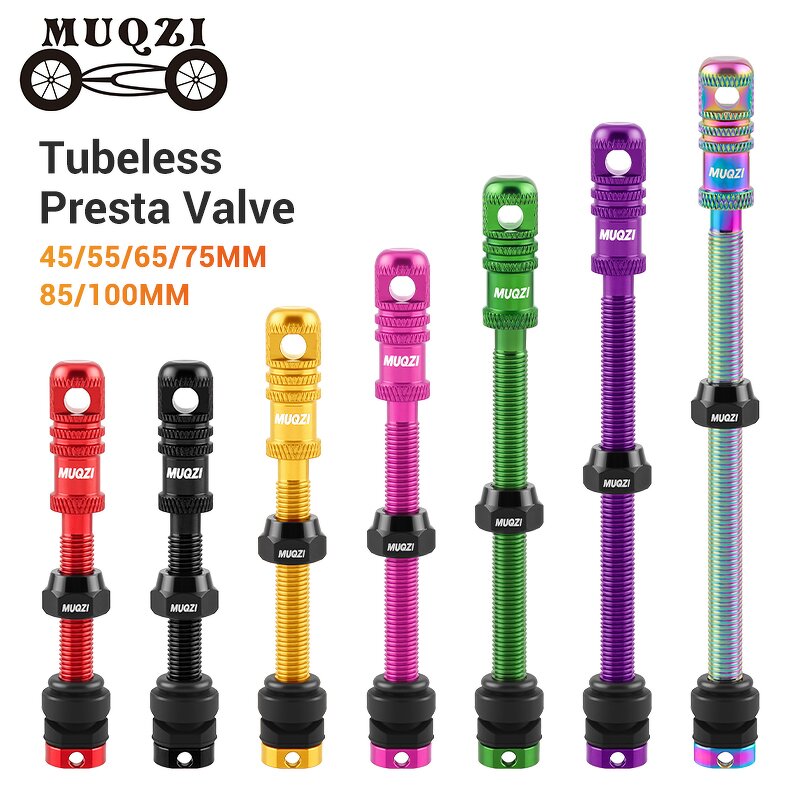 Bike Valve Stem Factory - Custom Presta Tubeless Valve