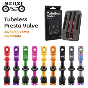 Bike Valve Stem Manufacturer - OEM Aluminum Alloy Presta Valve