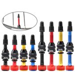 Bike Valve Stem Factory - Custom Presta Tubeless Valve