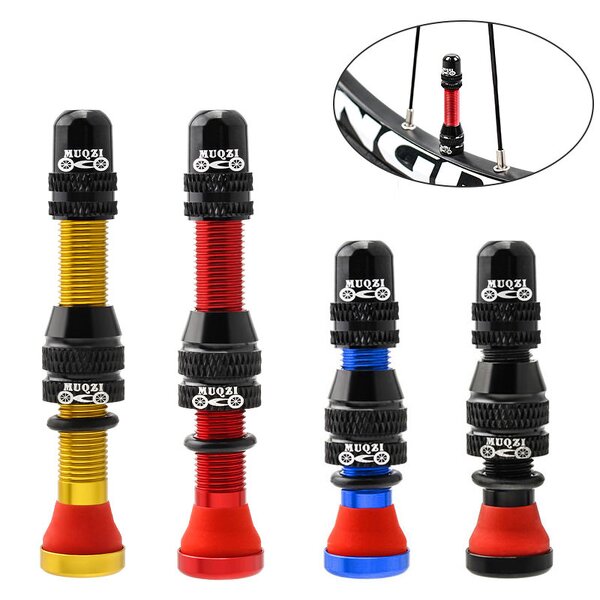 Bike Valve Stem Factory - OEM Schrader Tubeless Valve