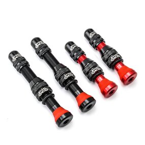 Bike Valve Stem Supplier - Custom Schrader Tubeless Valve