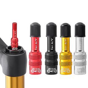 Bike Air Valve Manufacturer - OEM Suspension Fork Valve