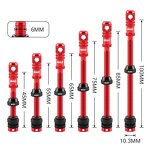 Bike Valve Stem Manufacturer - OEM Aluminum Alloy Presta Valve