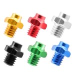 Bike Pedal Screw Factory - OEM Custom Torx Screw