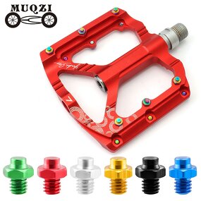 Bike Pedal Screw Factory - OEM Custom Torx Screw