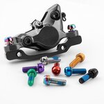 Bike Stem Screw Manufacturer - OEM Brake Caliper Bolt