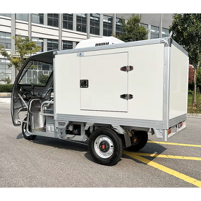 Mobile Refrigerator Factory - OEM/ODM Custom Tricycle Cold Chain Delivery for Ice Cream