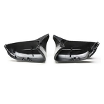 Carbon Fiber Mirror Caps Supplier - OEM for BMW 3 Series G20 G28