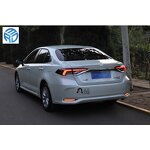 Rear Bumper Light Manufacturer - OEM for Toyota Corolla 2019+