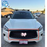 Front Grille Manufacturer - OEM for Infiniti Q50