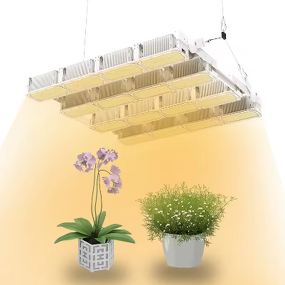 Indoor Grow Light Manufacturer - OEM High Power 1000W Adjustable Full Spectrum