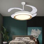 Ceiling Fan Manufacturer - OEM Best Price E26 Modern Remote Control Light