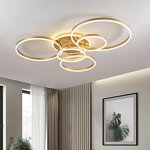 Circle Ceiling Light Factory - OEM Decorative Lustre Dimmable Gold LED