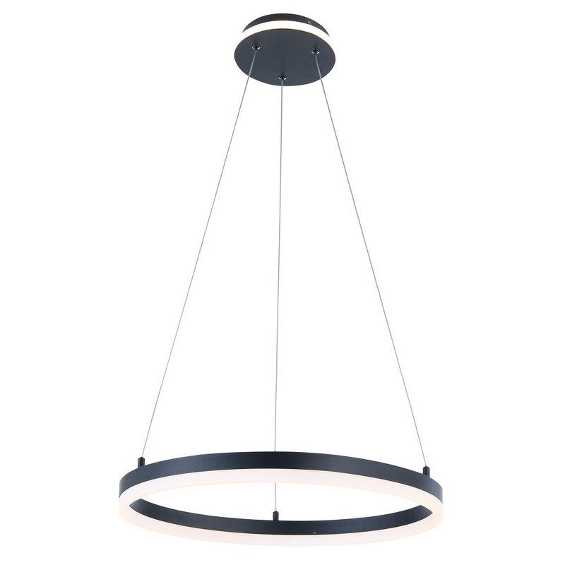 Black Circle Pendant Light Manufacturer - OEM Factory Supply Home Nordic Lighting