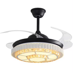 Black Ceiling Fan Manufacturer - OEM Modern Pendant Retractable Blade Three Colors