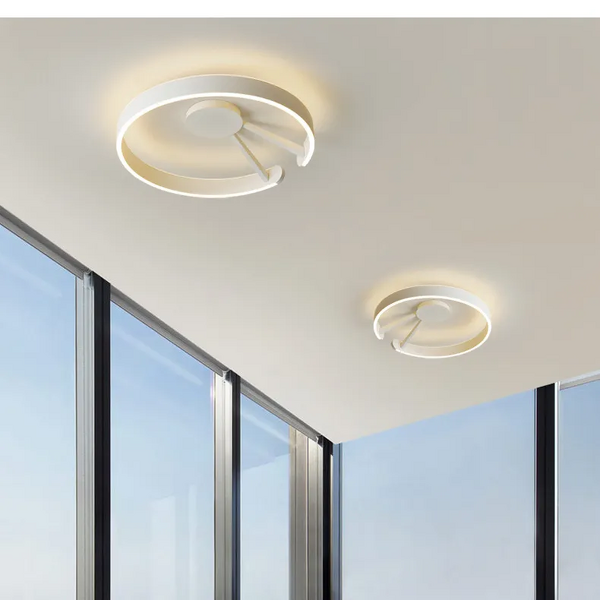 Round Ceiling Lamp Factory - OEM Modern Designer Dimmable Flush Mount