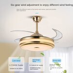 Ceiling Fan Light Manufacturer - OEM Modern Decoration Gold Three Colors Style