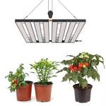 Grow Light Factory - OEM Full Spectrum IP65 Blue Red Indoor Plants